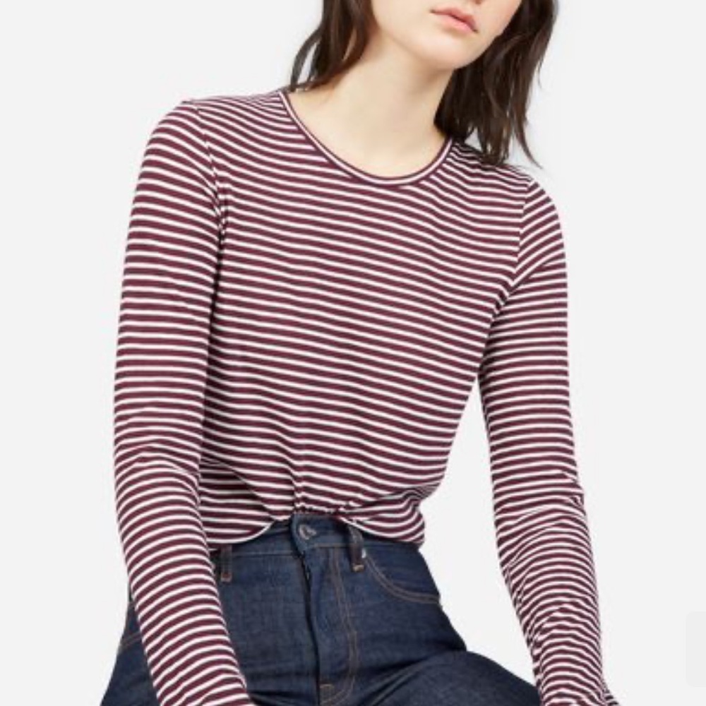 Everlane Burgundy Striped Long Sleeve Shirt